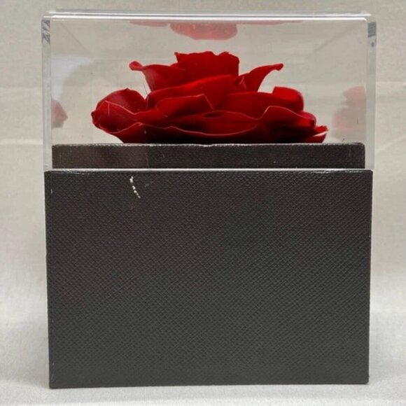 Eternal Rose Preserved Flower Jewelry Box & Silvertone Gemstone Necklace Gift - Picture 6 of 13